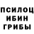 Псилоцибиновые грибы Psilocybine cubensis Theliras