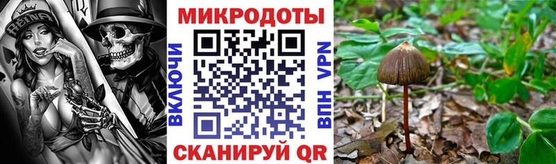 OMG ссылка  Выкса  Псилоцибиновые грибы ЛСД  где можно купить наркотик 